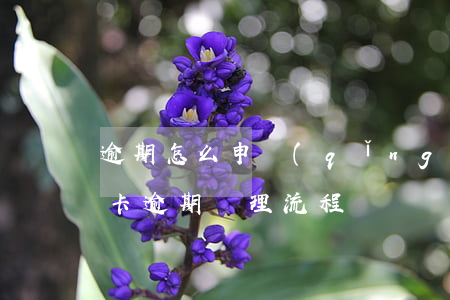 逾期怎么申請(qǐng)信用卡技巧(信用卡逾期處理流程)