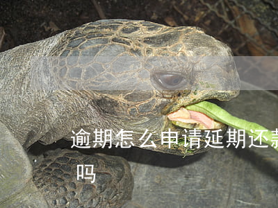 逾期怎么申请延期还款(申请延期还款算逾期吗)