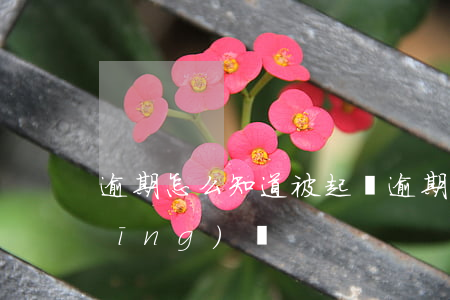 逾期怎么知道被起訴(逾期被起訴怎么應(yīng)訴)