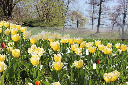 逾期怎么算老賴(lài)(逾期變老賴(lài)有什么標(biāo)準(zhǔn))