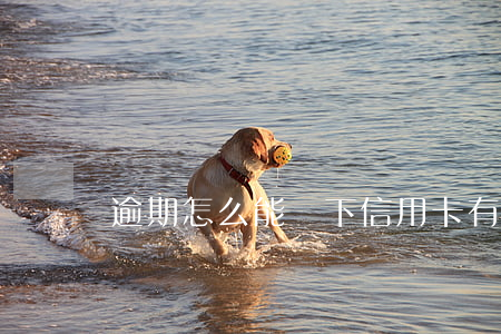 逾期怎么能辦下信用卡 有逾期如何辦信用卡