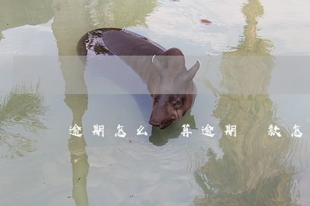 逾期怎么計算（逾期貸款怎么算）