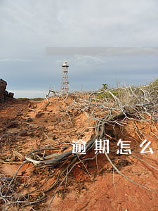 逾期怎么跟客服講-逾期怎么跟客服講理