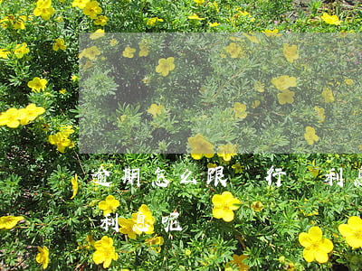 逾期怎么跟銀行談利息-逾期怎么跟銀行談利息呢