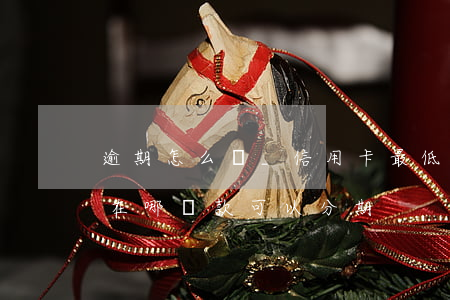 逾期怎么辦_信用卡最低分期(信用低有逾期在哪貸款可以分期)