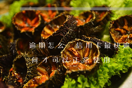 逾期怎么辦信用卡最快(逾期以后的信用卡如何才可以正常使用)