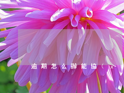 逾期怎么辦能協(xié)商還款