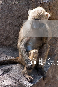 逾期怎么避免被起訴 逾期被告怎么辦