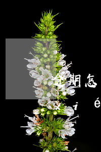 逾期怎樣協(xié)商還款 逾期怎樣協(xié)商還款