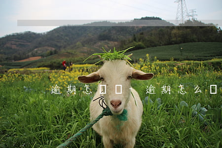 逾期怎樣寫-逾期怎么寫