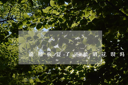 逾期恢复了还能用花呗吗