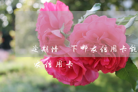 逾期情況下哪家信用卡能申請(有逾期申請哪家信用卡)