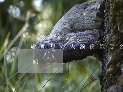 逾期想办大额贷款怎么办(有逾期还能办贷款吗)