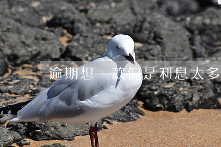 逾期想還款但是利息太多