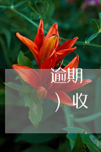 逾期應(yīng)收賬款占應(yīng)收賬款比例（逾期應(yīng)收賬款）
