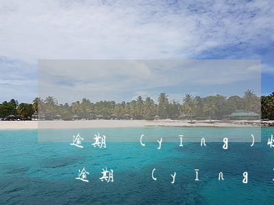 逾期應(yīng)收賬款報(bào)告(逾期應(yīng)收賬款報(bào)告)