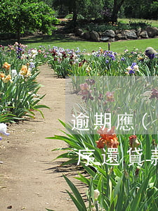 逾期應(yīng)計(jì)貸款還款順序(還貸款怎么算逾期)