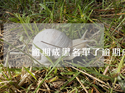 逾期成黑名單了(逾期成黑名單了)