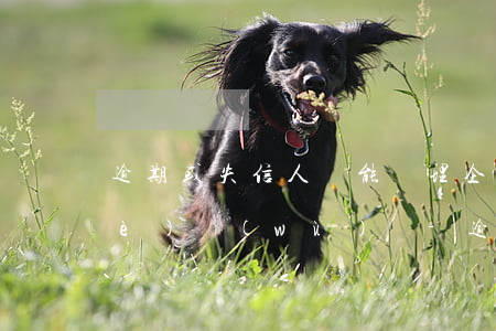 逾期或失信人員能辦理企業(yè)業(yè)務(wù)嗎-逾期或失信人員能辦理企業(yè)業(yè)務(wù)嗎知乎