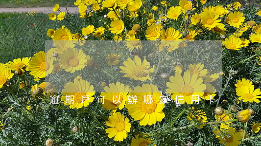 逾期戶可以辦哪家信用卡