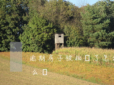 逾期房子被拍賣了怎么辦(房貸逾期被拍賣怎么辦)