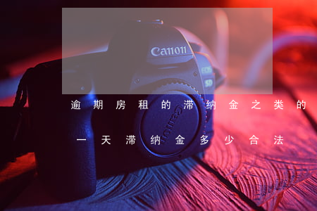 逾期房租的滞纳金之类的是啥意思(房租逾期一天滞纳金多少合法)