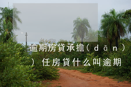 逾期房貸承擔(dān)怎么樣的責(zé)任(房貸什么叫逾期)