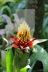 逾期房貸會(huì)下來嗎(房屋貸款逾期了會(huì)怎么樣)
