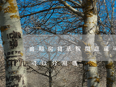 逾期房貸法院開庭還可以分期嗎(貸款逾期還可以分期嗎)