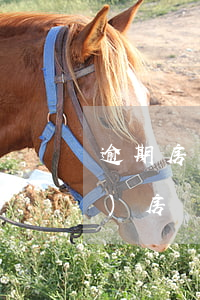 逾期房貸產(chǎn)生律師費(fèi)(房貸逾期起訴律師費(fèi)有什么標(biāo)準(zhǔn))