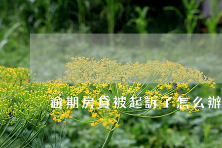 逾期房貸被起訴了怎么辦(房貸逾期多久起訴)