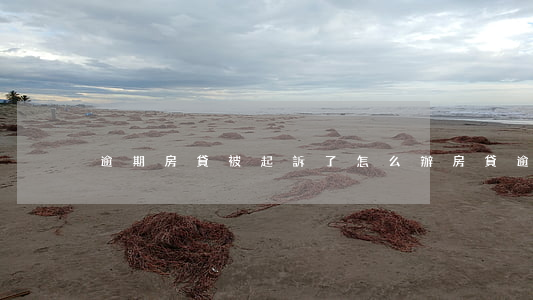 逾期房貸被起訴了怎么辦(房貸逾期被訴訟)