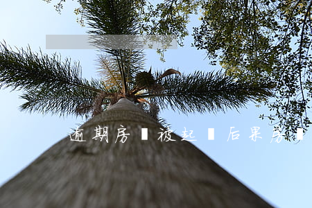 逾期房貸被起訴后果(房貸逾期 被起訴)