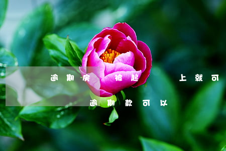 逾期房貸被起訴還上就可以了嗎(房貸銀行起訴還逾期款可以嗎)