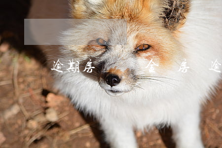 逾期房貸違約金嗎(房貸逾期有違約金嗎)