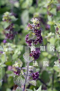 逾期房貸還完了法院怎么判(逾期房貸還完了法院怎么判)
