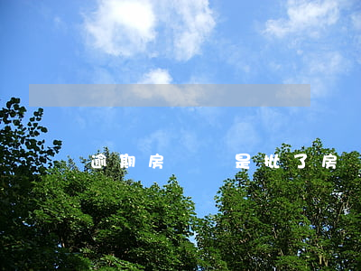 逾期房貸還是批了(房貸還款逾期)