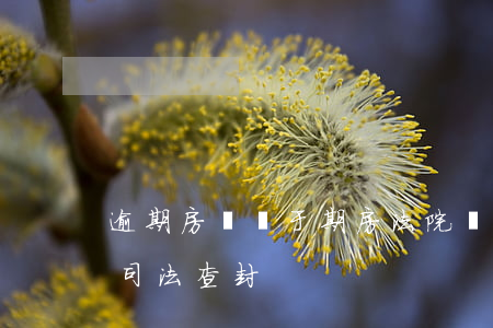 逾期房還屬于期房法院會查封嗎 買的期房被司法查封