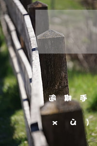 逾期手續(xù)費怎么收費-逾期手續(xù)費怎么收費合理