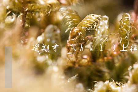 逾期才會(huì)上征信么(逾期才上征信嗎)