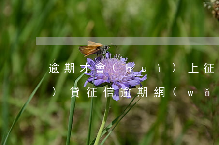 逾期才會(huì)上征信的網(wǎng)貸(征信逾期網(wǎng)貸能貸嗎)