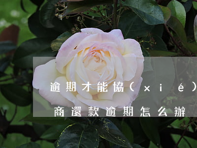 逾期才能協(xié)商還款(協(xié)商還款逾期怎么辦)