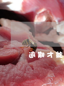 逾期才能還清負債(逾期還清了還能貸款嗎)