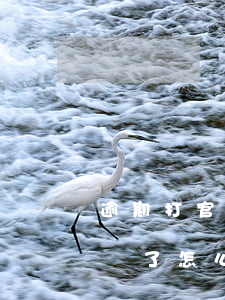 逾期打官司找不到合同怎么辦-打官司合同丟了怎么辦