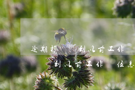 逾期打電話到以前工作單位怎么辦-逾期打電話到以前工作單位怎么辦理