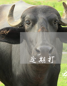 逾期打電話給家人合法嗎怎么投訴-逾期打電話給家人合法嗎怎么投訴他