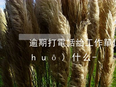逾期打電話給工作單位會(huì)說(shuō)什么-