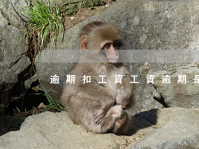 逾期扣工資 工資逾期是什么意思