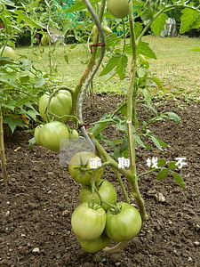 逾期找不到還款 逾期找不到還款