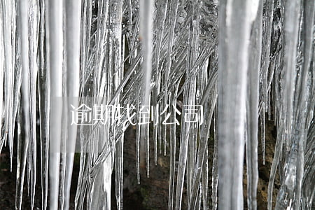逾期找到公司嗎